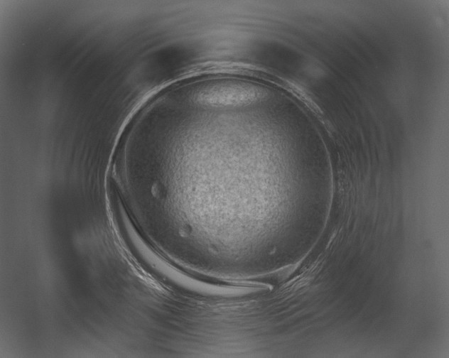 X0000054360891200508011217