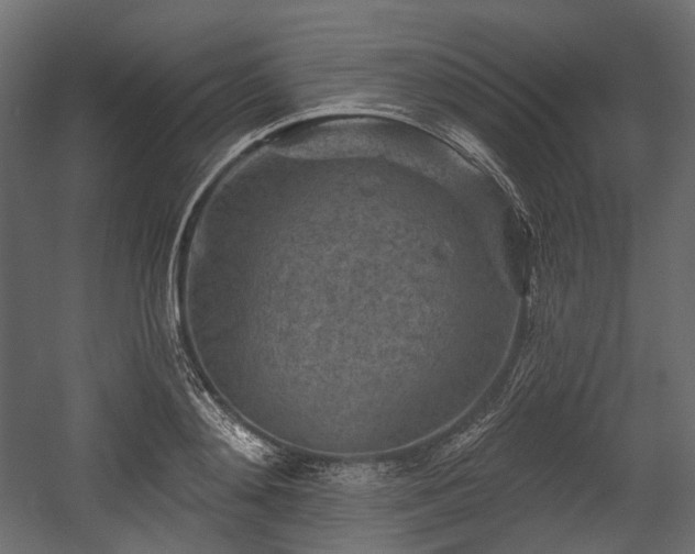 X0000054360892200508011217