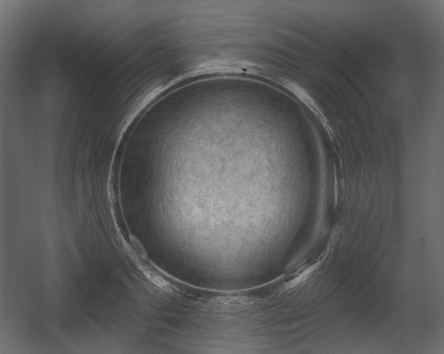 X0000054360893200508011217