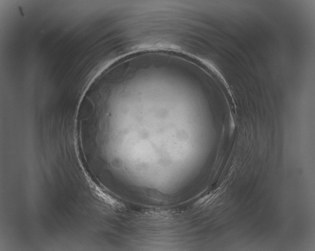 X0000054360895200508011217