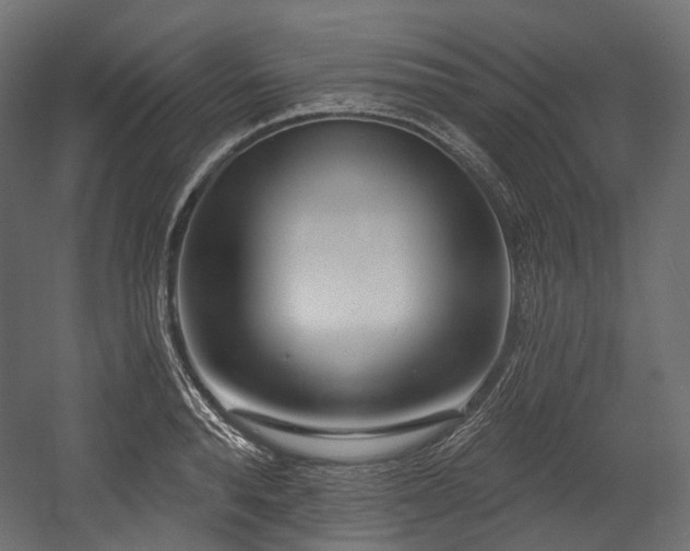 X0000054360896200508011217