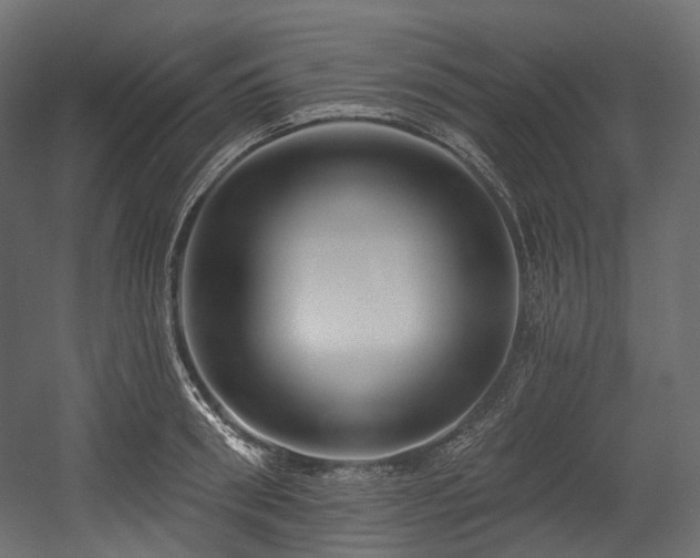 X0000054360898200508011217