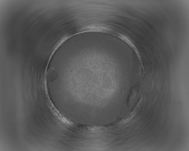 X0000054360899200508011217