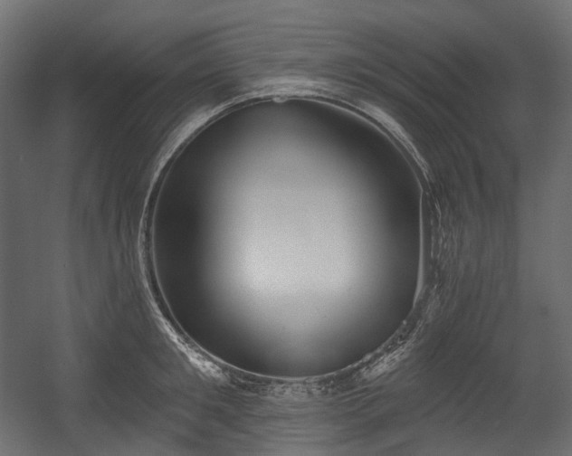 X0000054360901200508011217