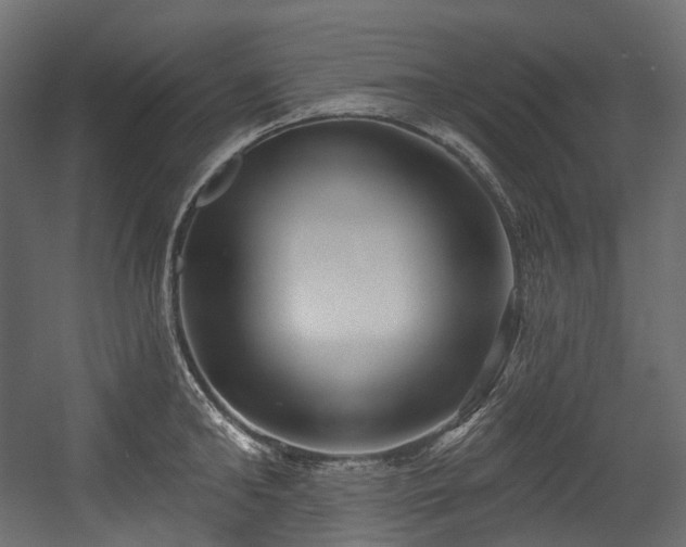 X0000054360902200508011217