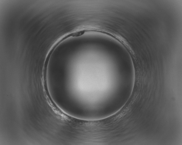 X0000054360904200508011217
