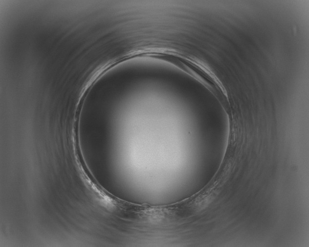 X0000054360906200508011217
