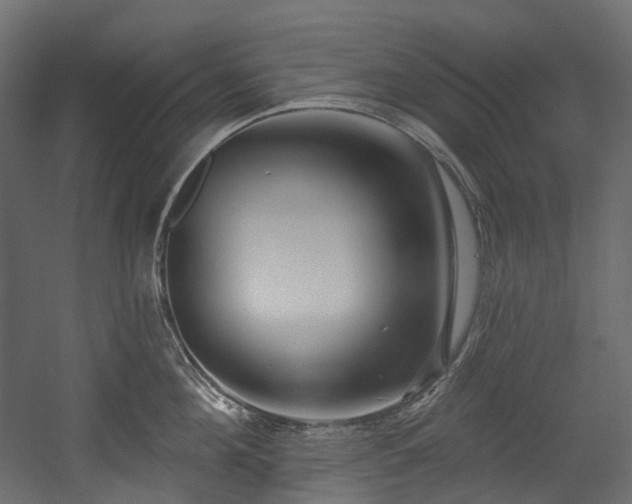 X0000054360908200508011217