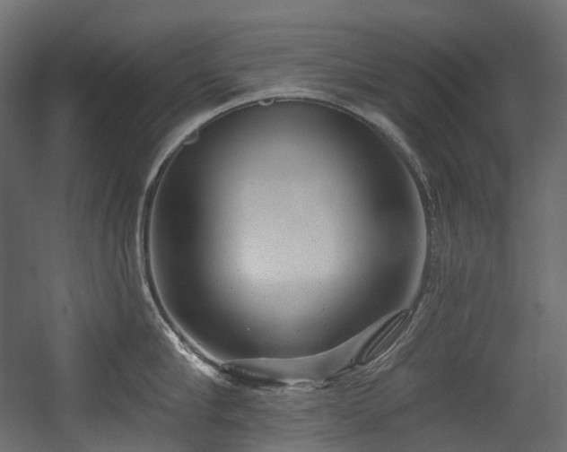 X0000054360910200508011217