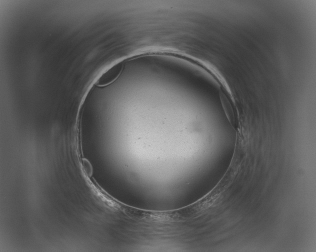 X0000054360911200508011217