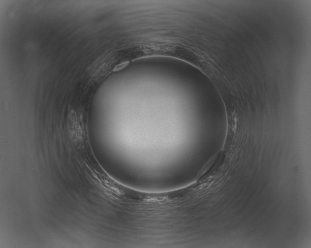 X0000054360915200508011216