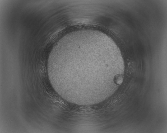 X0000054360918200508011216