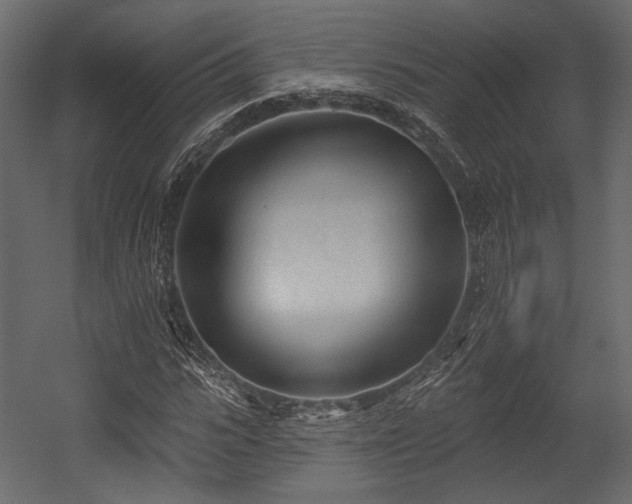 X0000054360919200508011216