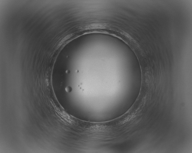 X0000054360929200508011216