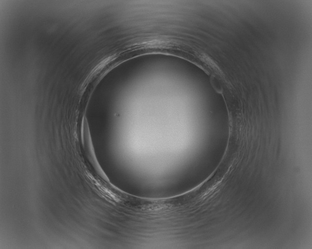 X0000054360930200508011216