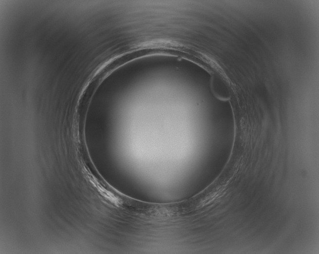 X0000054360931200508011216