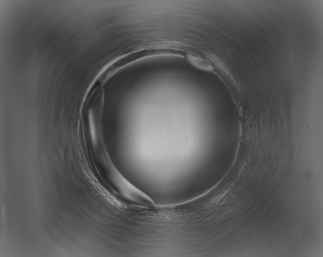 X0000054360932200508011216