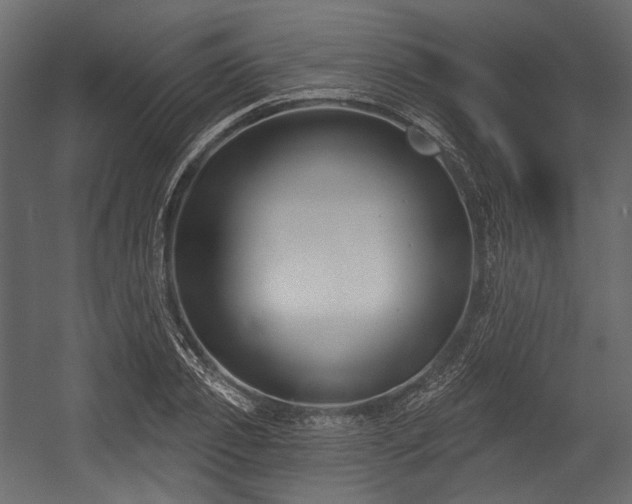 X0000054360933200508011216