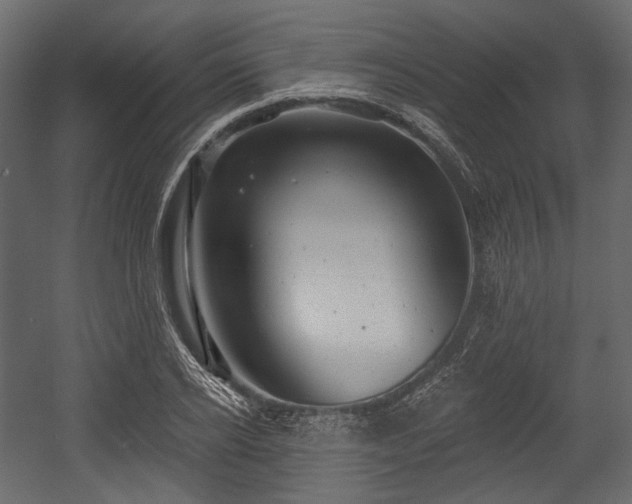 X0000054360934200508011216