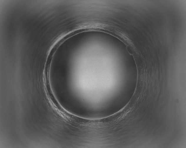 X0000054360936200508011216