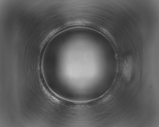 X0000054360938200508011217