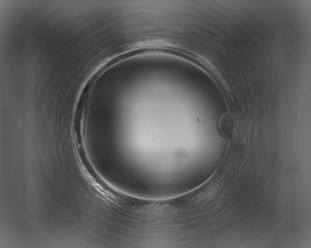X0000054360939200508011217