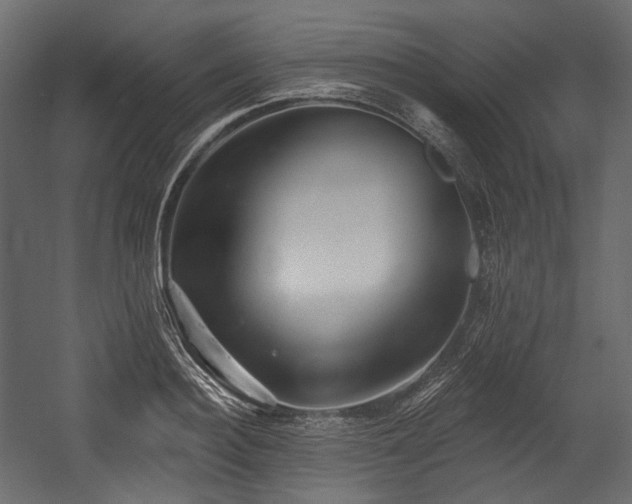 X0000054360940200508011217