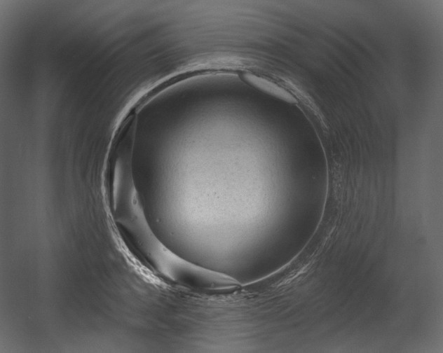 X0000054360944200508011217