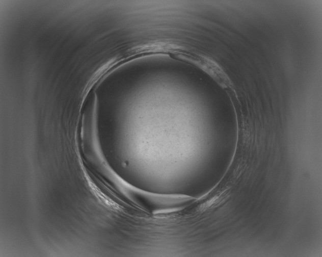 X0000054360946200508011217