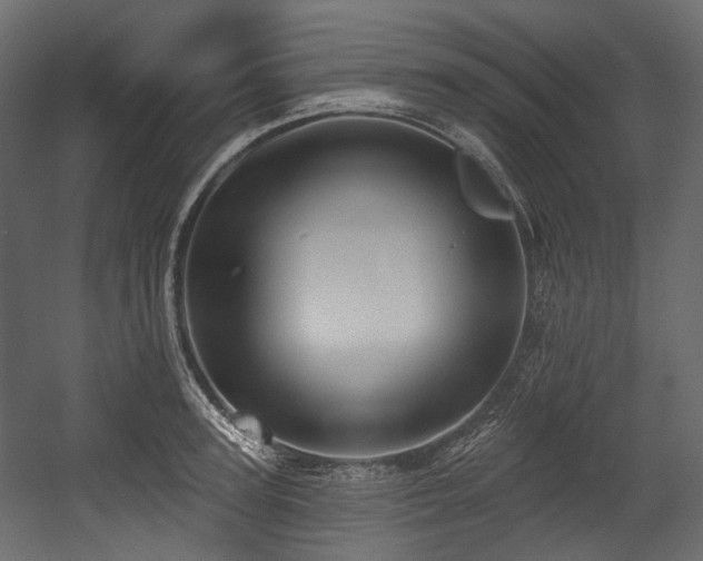 X0000054360947200508011217