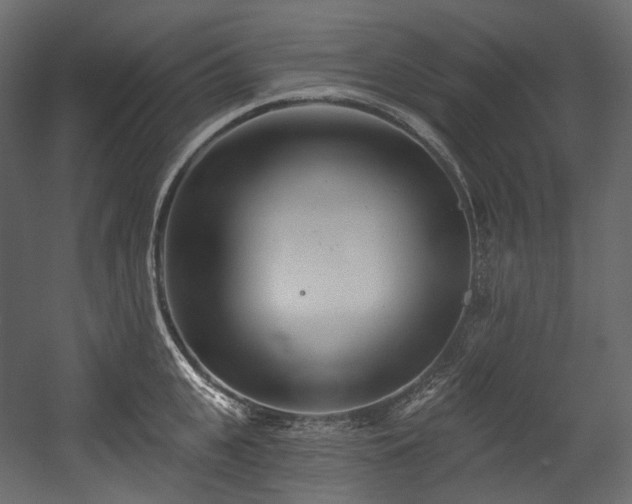 X0000054360951200508011217