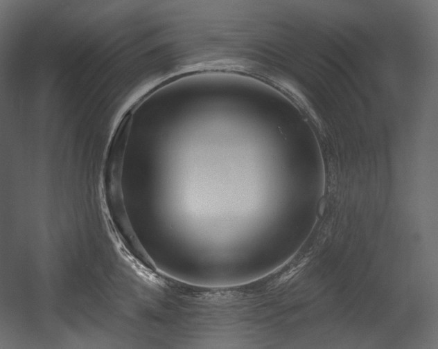 X0000054360952200508011217