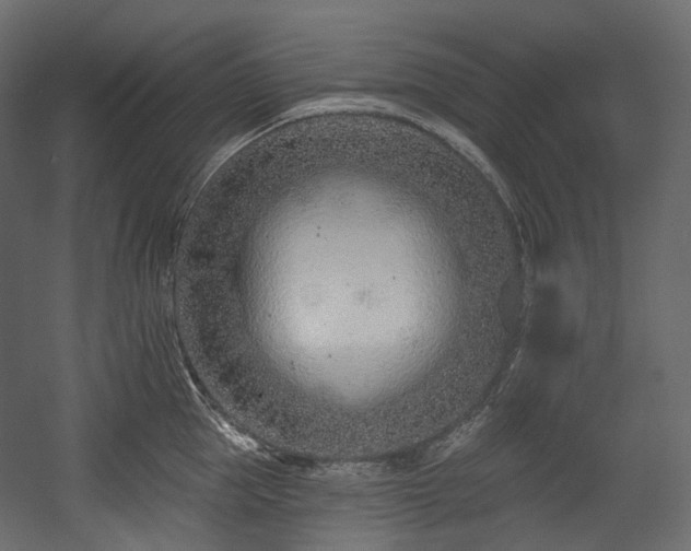 X0000054360953200508011217