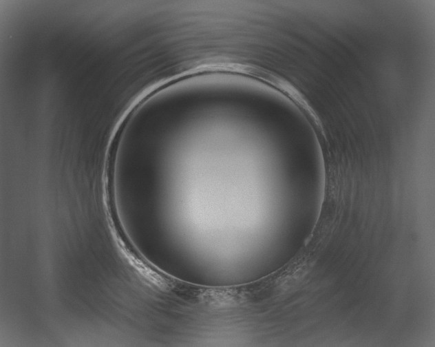 X0000054360955200508011217