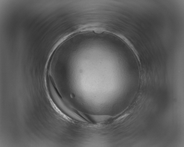 X0000054360957200508011217