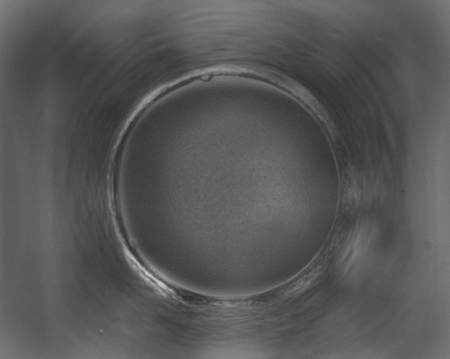 X0000054360958200508011217