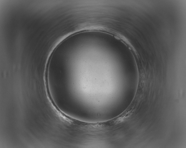 X0000054360959200508011217