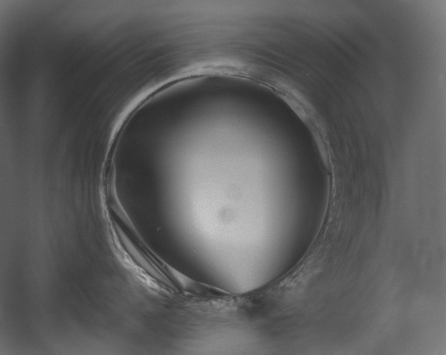 X0000054360960200508011217