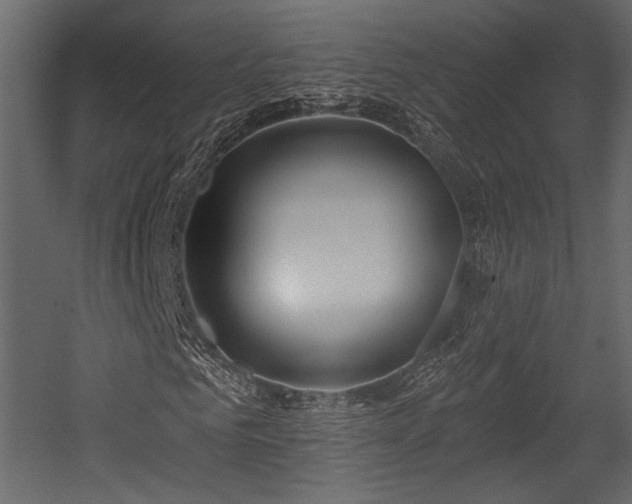 X0000054360961200508011216