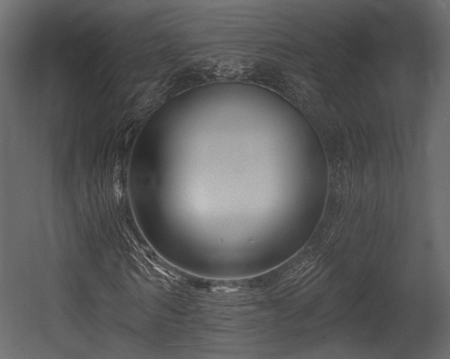 X0000054360962200508011216