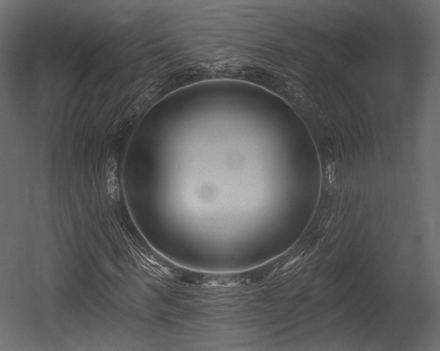 X0000054360963200508011216