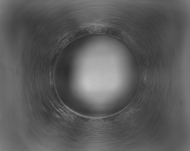 X0000054360964200508011216
