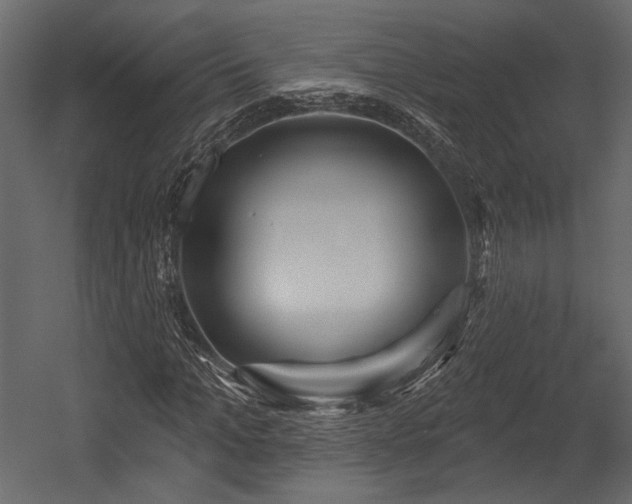 X0000054360965200508011216