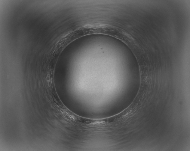 X0000054360966200508011216