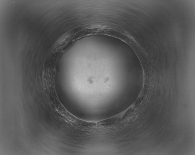 X0000054360967200508011216