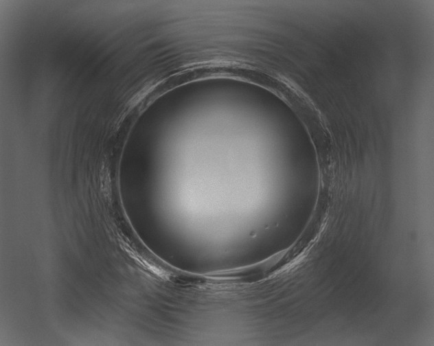 X0000054360969200508011216
