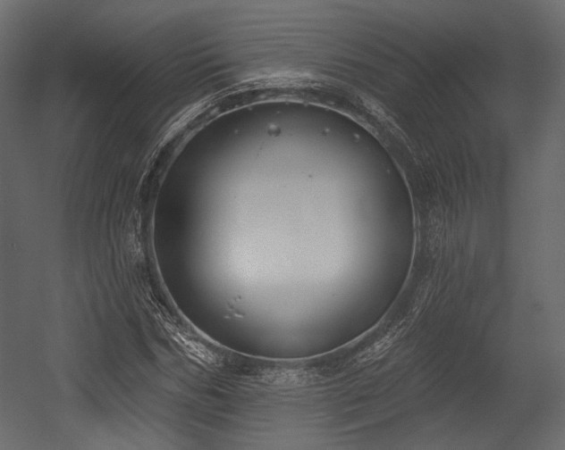 X0000054360970200508011216