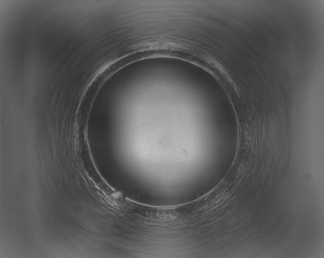 X0000054360975200508011216