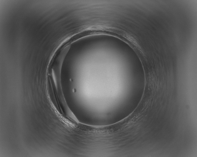X0000054360976200508011216