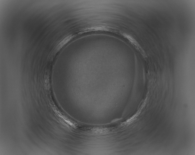 X0000054360977200508011216
